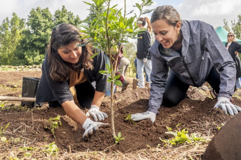 PLANTACION TURISMO-9