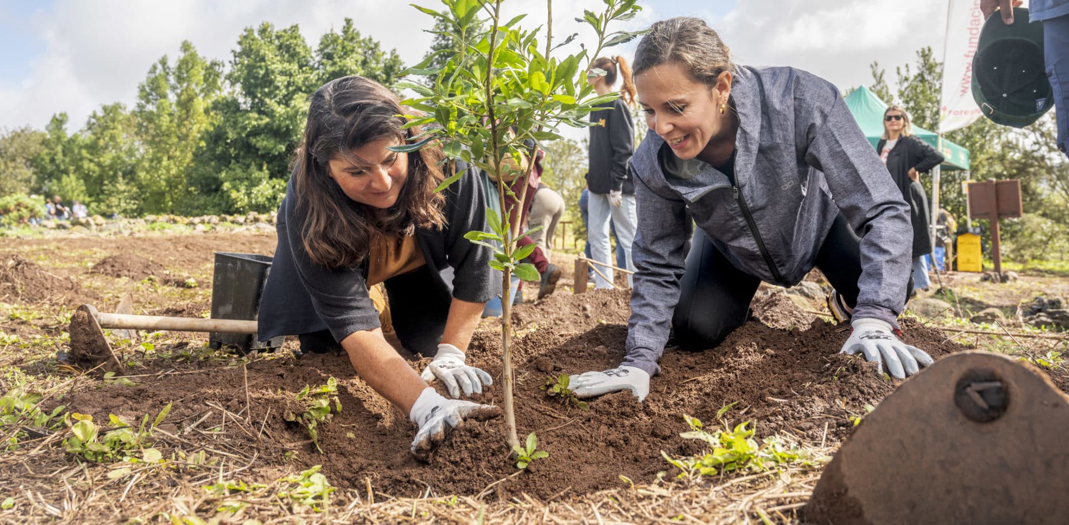 PLANTACION TURISMO-9