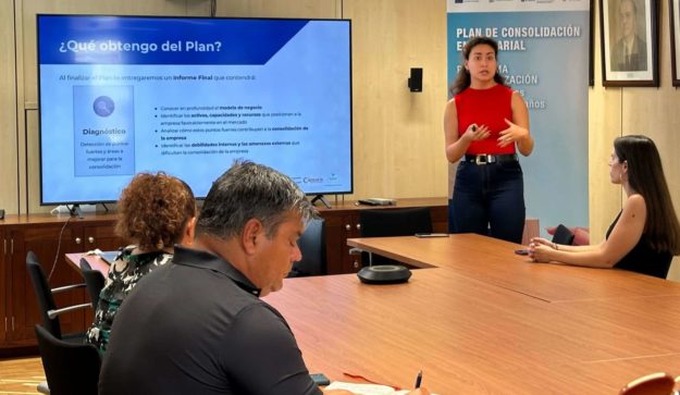 PRESENTACIÓN PLAN DE CONSOLIDACIÓN EMPRESARIAL (2)