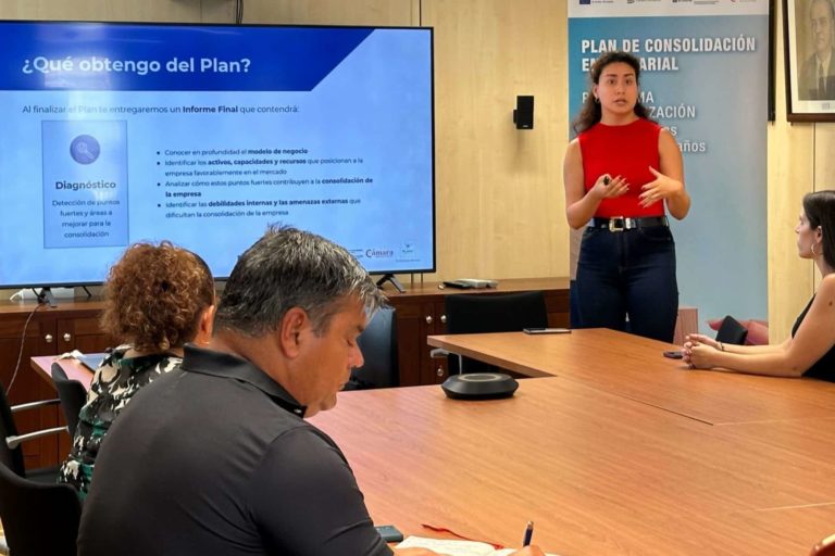 PRESENTACIÓN PLAN DE CONSOLIDACIÓN EMPRESARIAL (2)