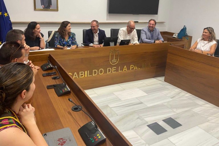 Plan Empleo La Palma