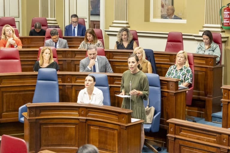 Pleno Parlamento 027