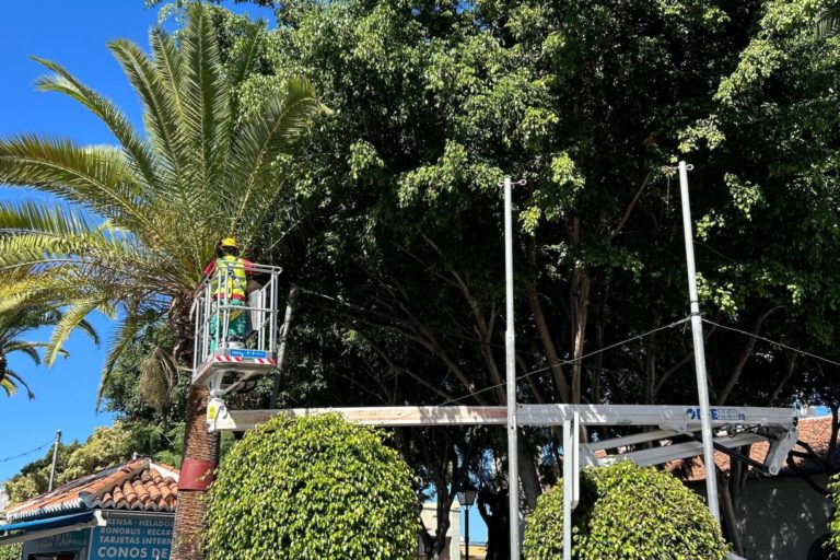 Servicio de poda y limpieza de vías Santa Úrsula (1)