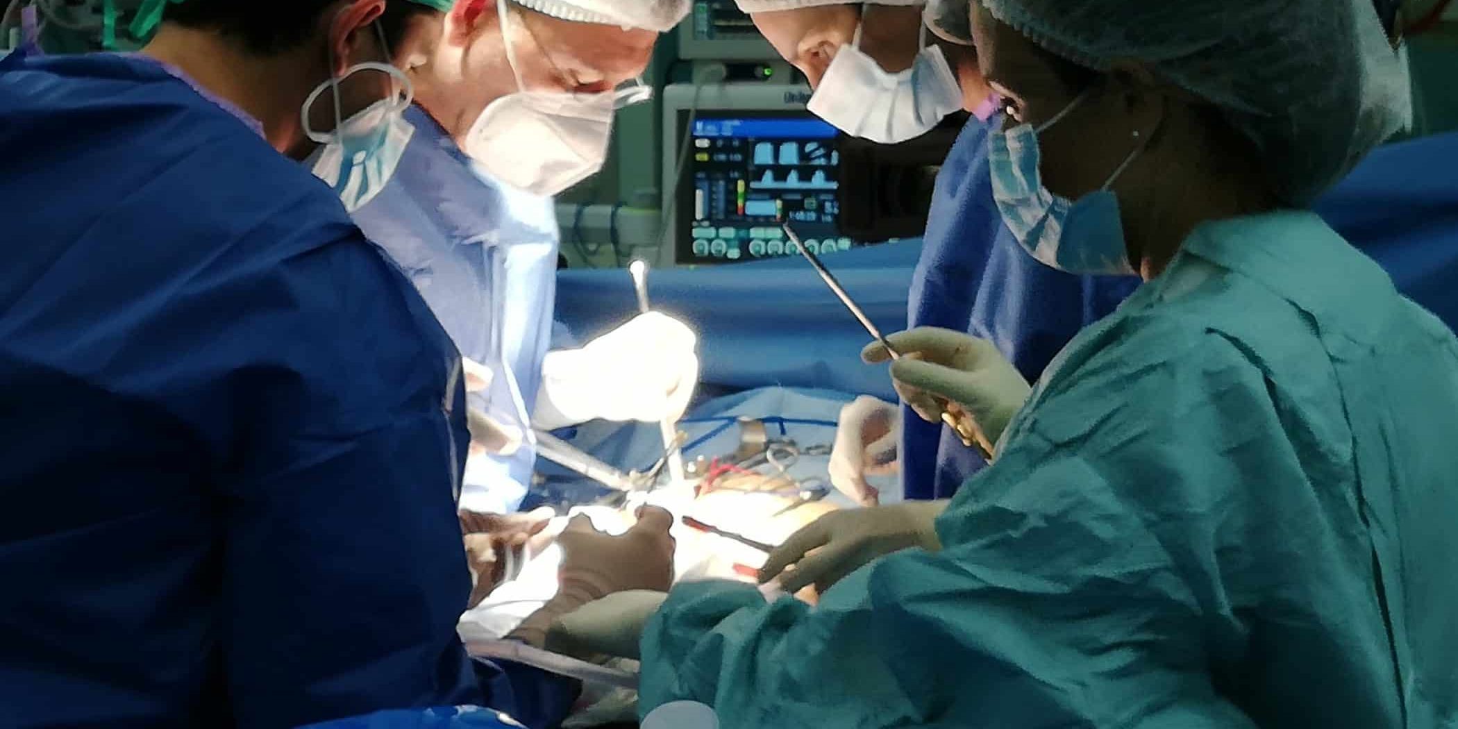 Tx renal de vivo