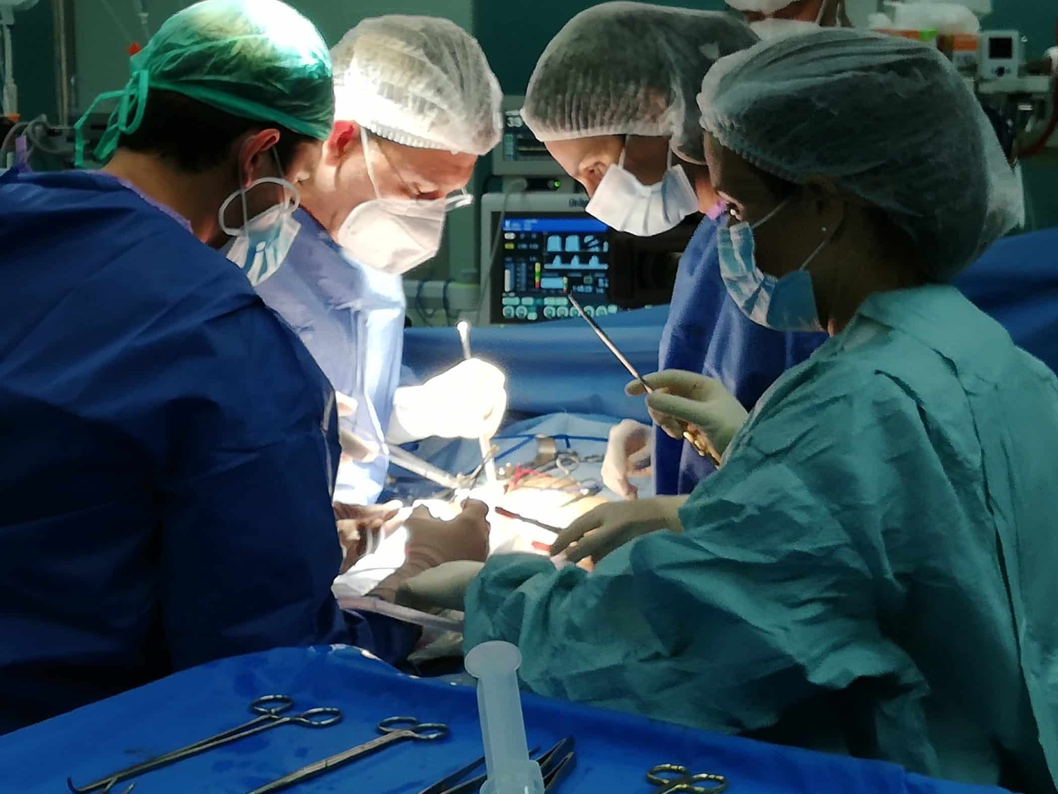 Tx renal de vivo