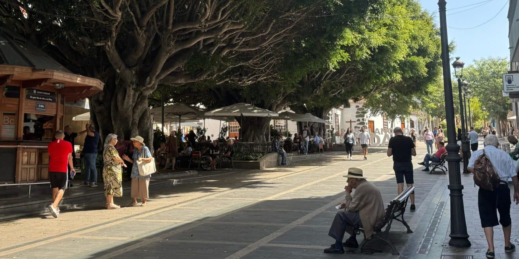 Zona Comercial Abierta Los Llanos de Aridane (1)