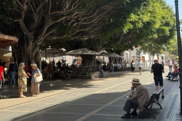 Zona Comercial Abierta Los Llanos de Aridane (1)