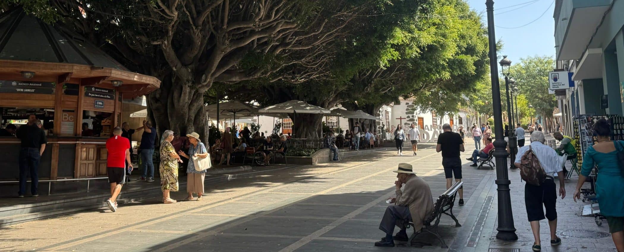 Zona Comercial Abierta Los Llanos de Aridane (1)