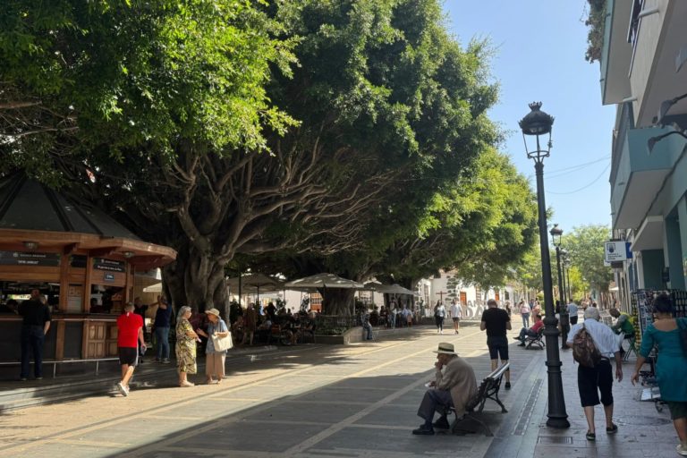 Zona Comercial Abierta Los Llanos de Aridane