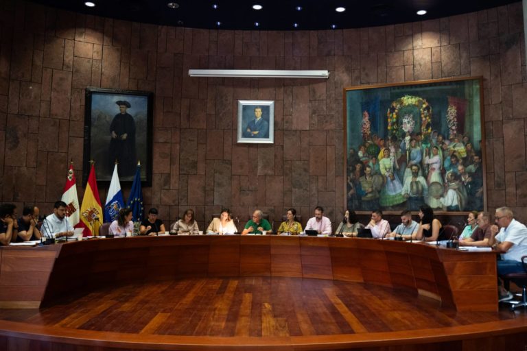 071124 Pleno del Cabildo de La Gomera