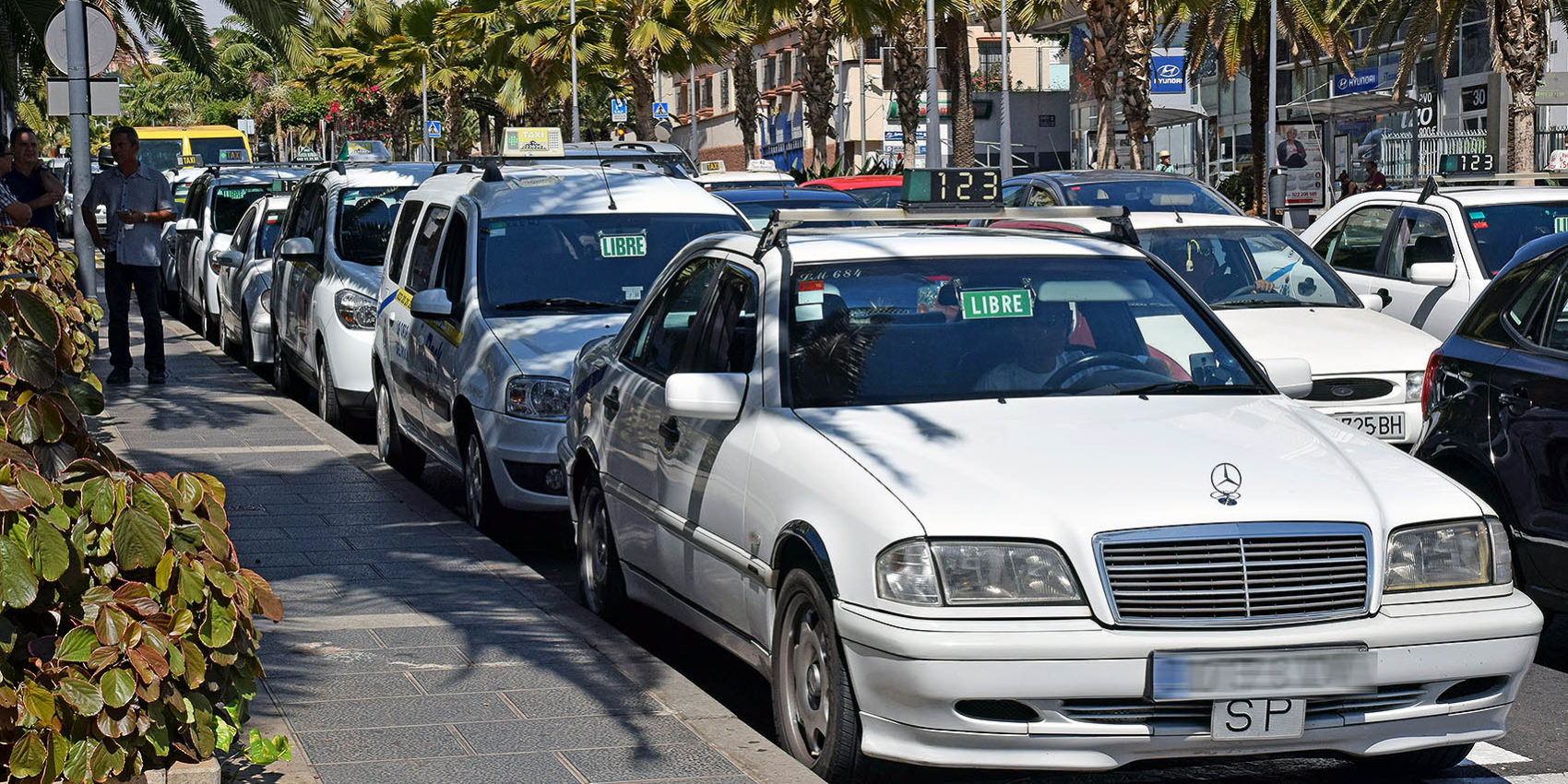 241031 Taxis en SC