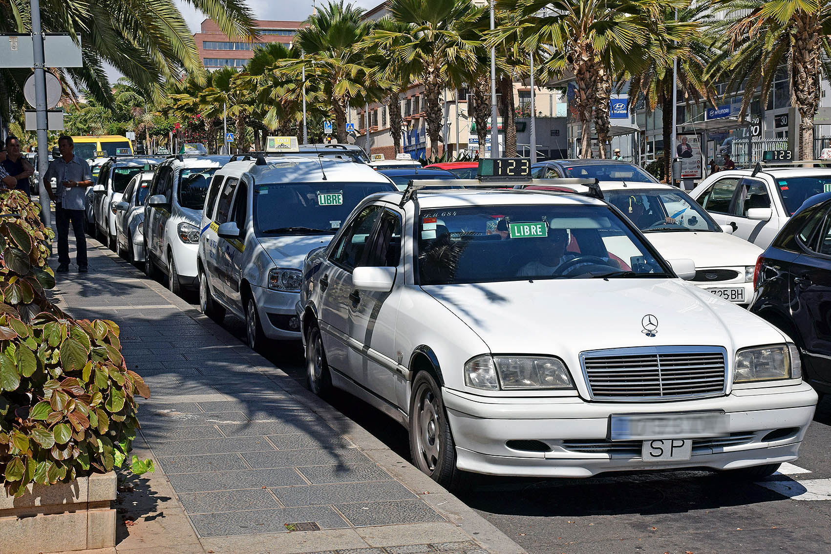 241031 Taxis en SC