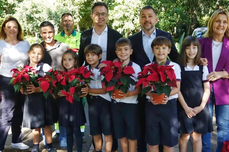 241119 Flores de pascua