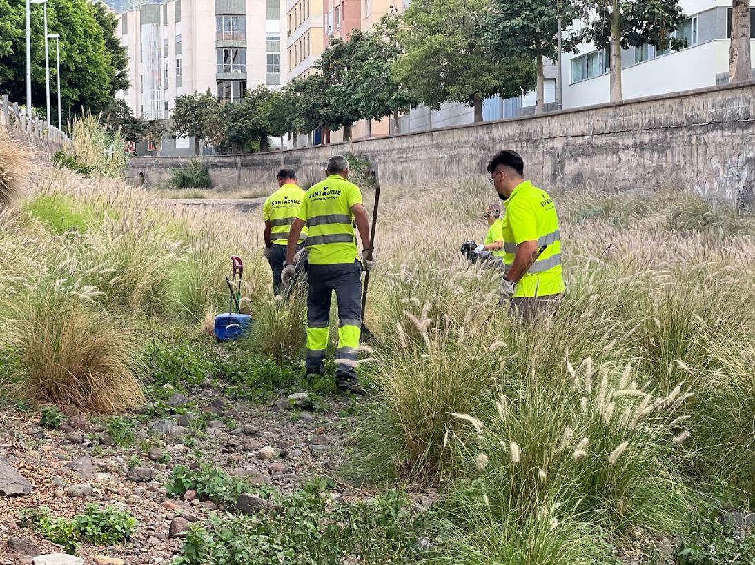 241122 Limpieza barrancos 2