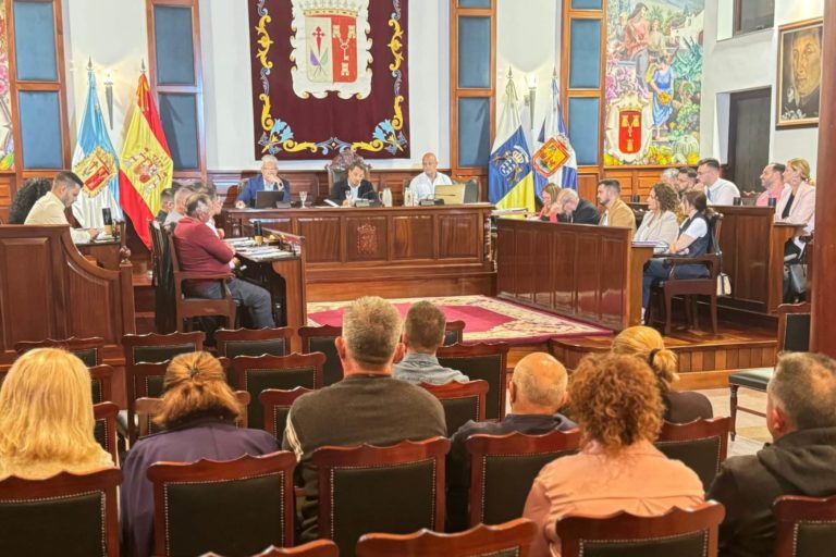 311024 Pleno ordinario aprobaci�n propuestas Realejeros Destacados 2024