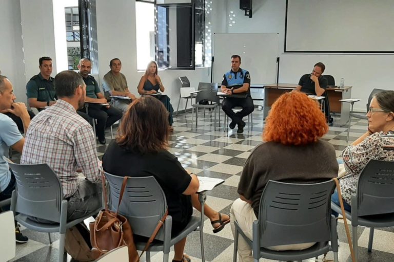 Arona Comisión Seguridad 2