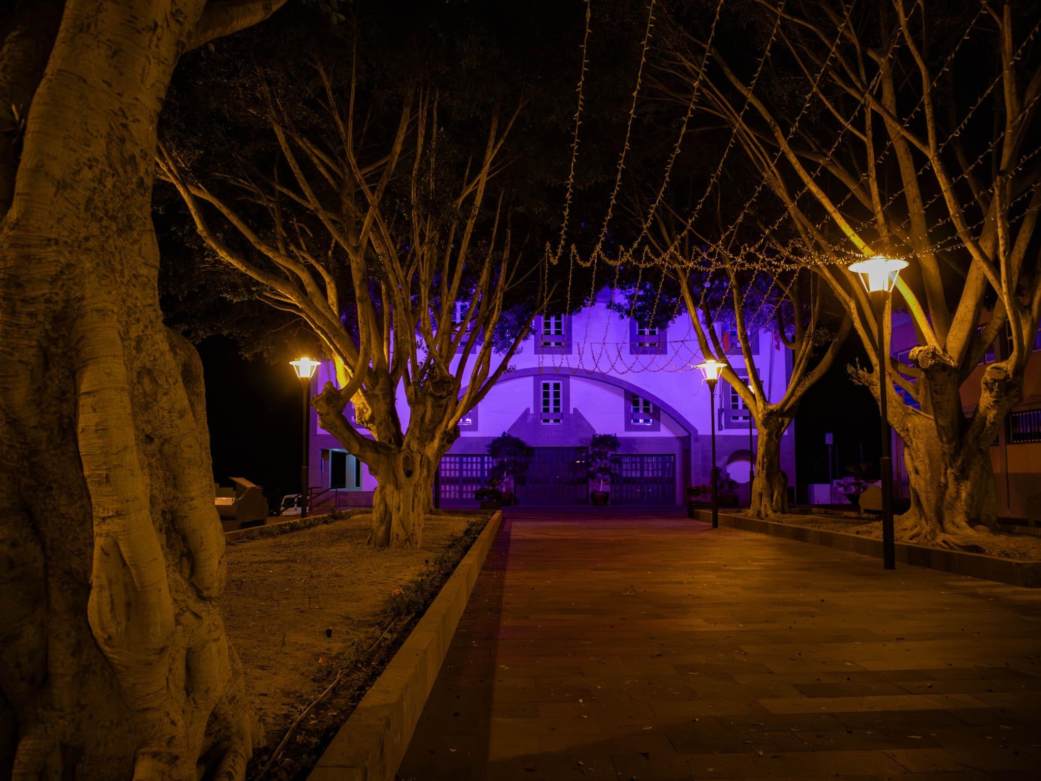 Ayuntamiento color violeta