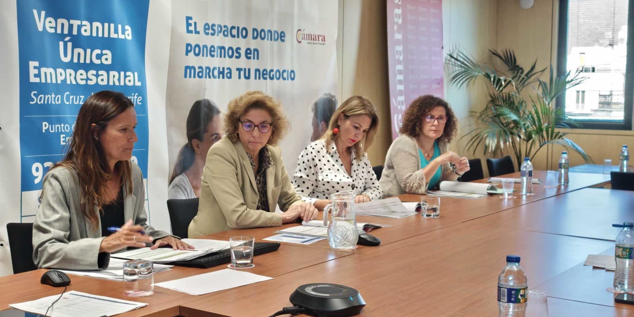 COMISIÓN PAE-VUE (4)