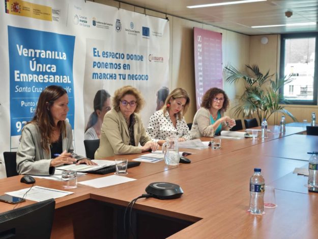 COMISIÓN PAE-VUE (4)