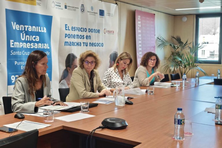 COMISIÓN PAE-VUE (4)