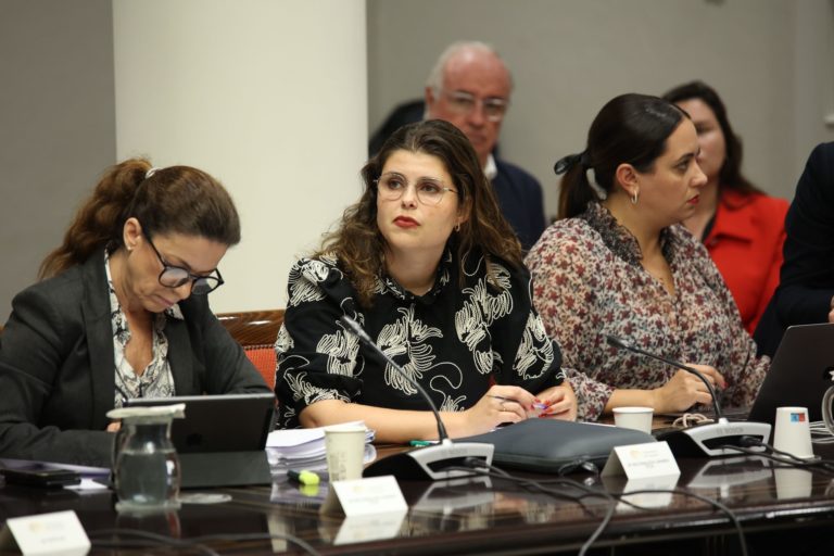 DIANA LORENZO PRESUPUESTOS 061124 OK