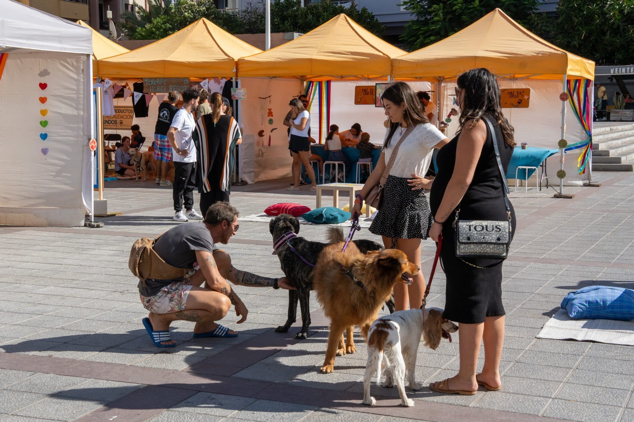 Granadilla de Abona celebra con éxito su II Feria de Bienestar Animal ...