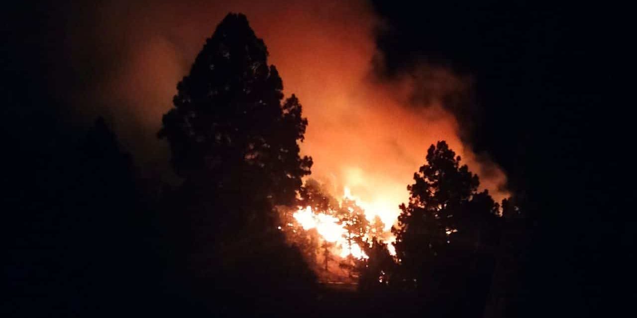 INCENDIO EN EL PASO-LA PALMA1 11-11-24
