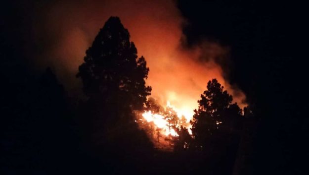 INCENDIO EN EL PASO-LA PALMA1 11-11-24