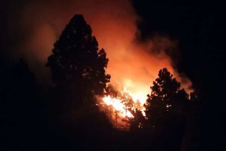INCENDIO EN EL PASO-LA PALMA1 11-11-24