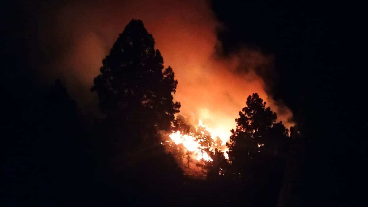 INCENDIO EN EL PASO-LA PALMA1 11-11-24