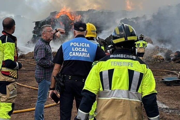 INCENDIO EN LA lAGUNA1 14-11-24