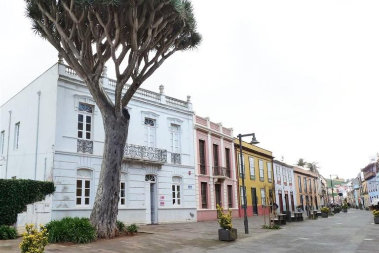 Muvisa