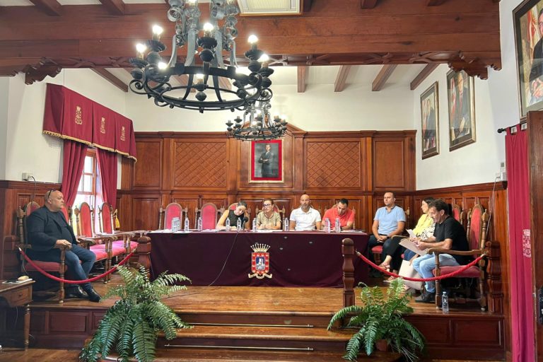 PLENO EXTRAORDINARIO 13 DE NOVIEMBRE