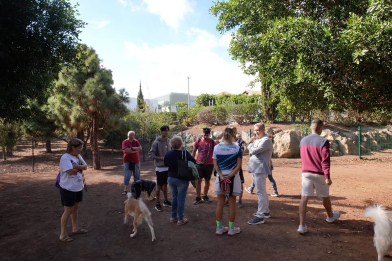 Parque canino 3