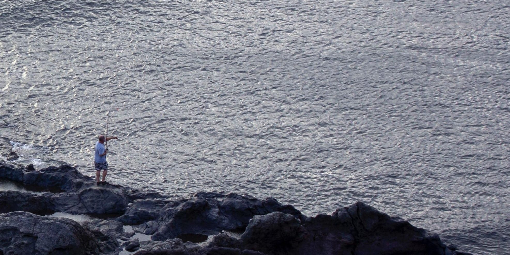 Pesca