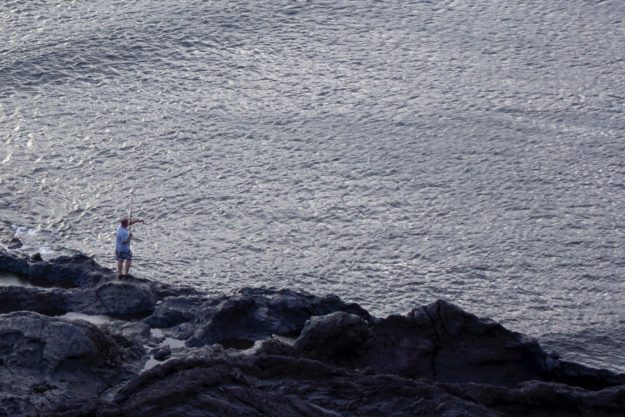 Pesca