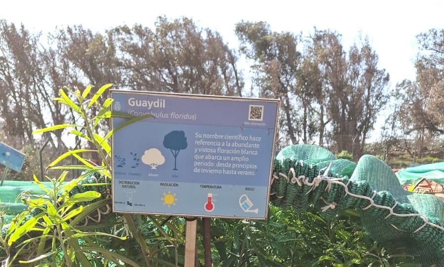 Vivero La Tahonilla-Guaydil 00