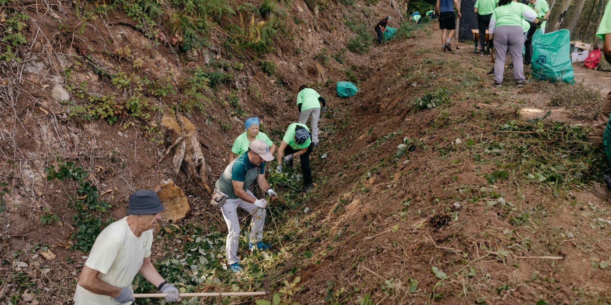 Voluntariado Ambiental (1)