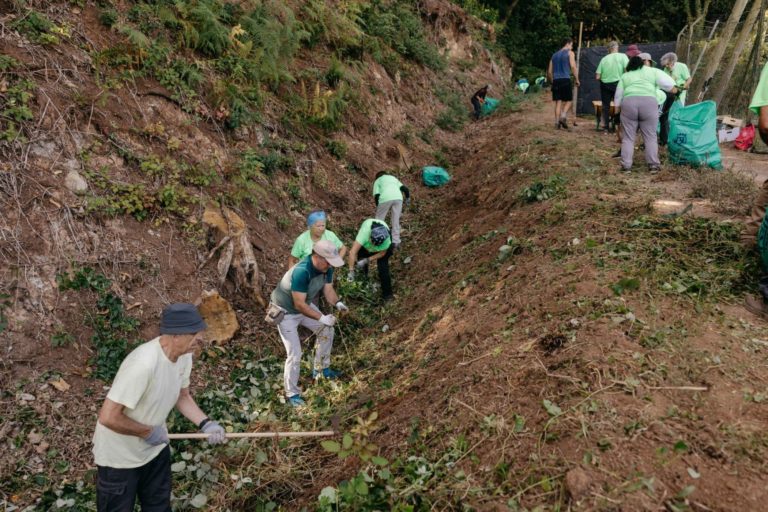 Voluntariado Ambiental (1)