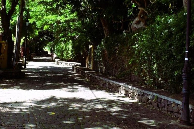 paseo_de_las_acacias_Guamasa