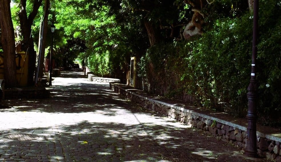 paseo_de_las_acacias_Guamasa