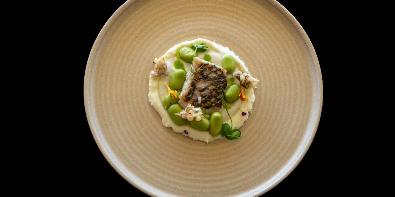primer premio plato