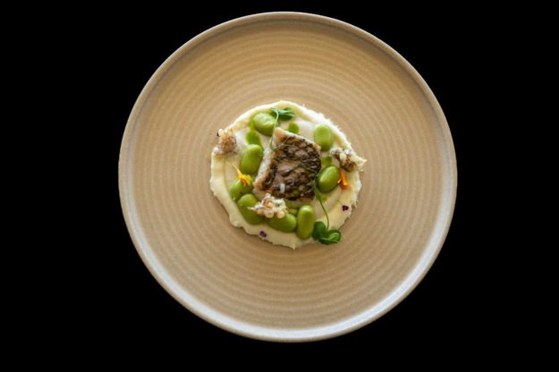 primer premio plato
