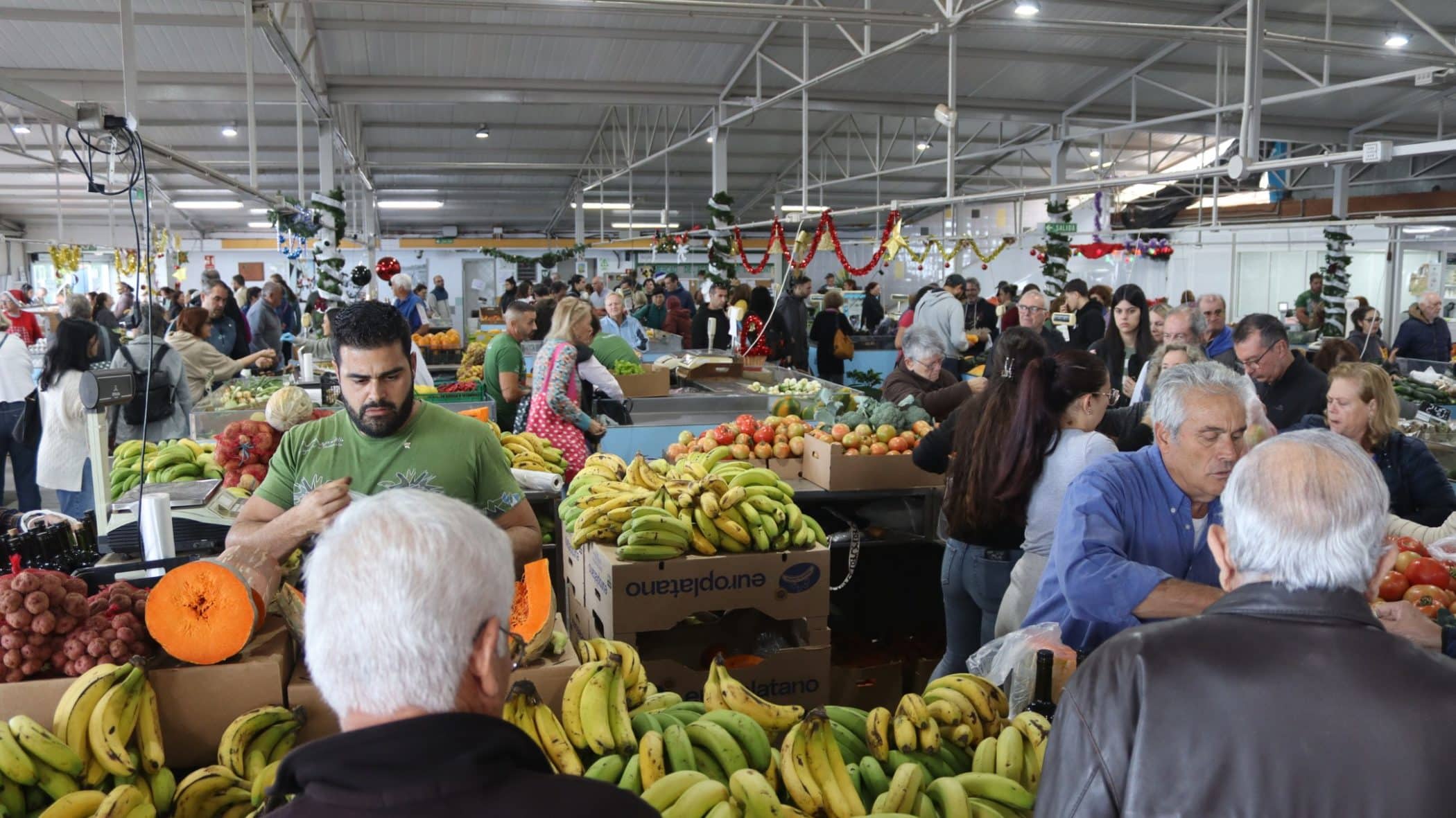 04_ MERCADILLO DEL AGRICULTOR DE TACORONTE