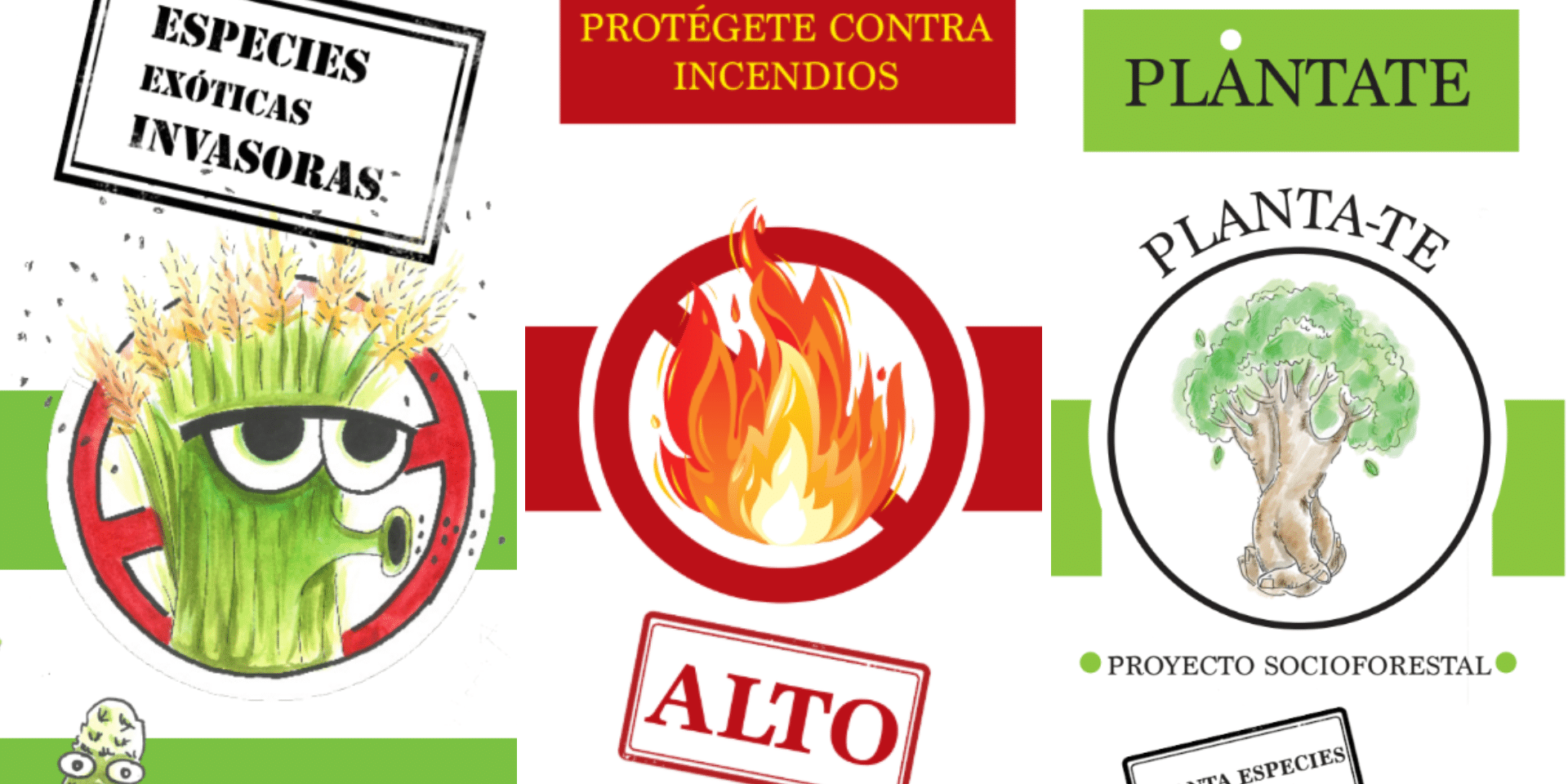 211224 Recopilatorio de trípticos divulgados por la Unidad de Medio Ambiente del Cabildo de La Gomera