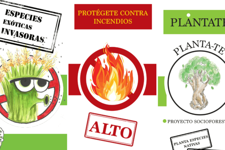 211224 Recopilatorio de trípticos divulgados por la Unidad de Medio Ambiente del Cabildo de La Gomera