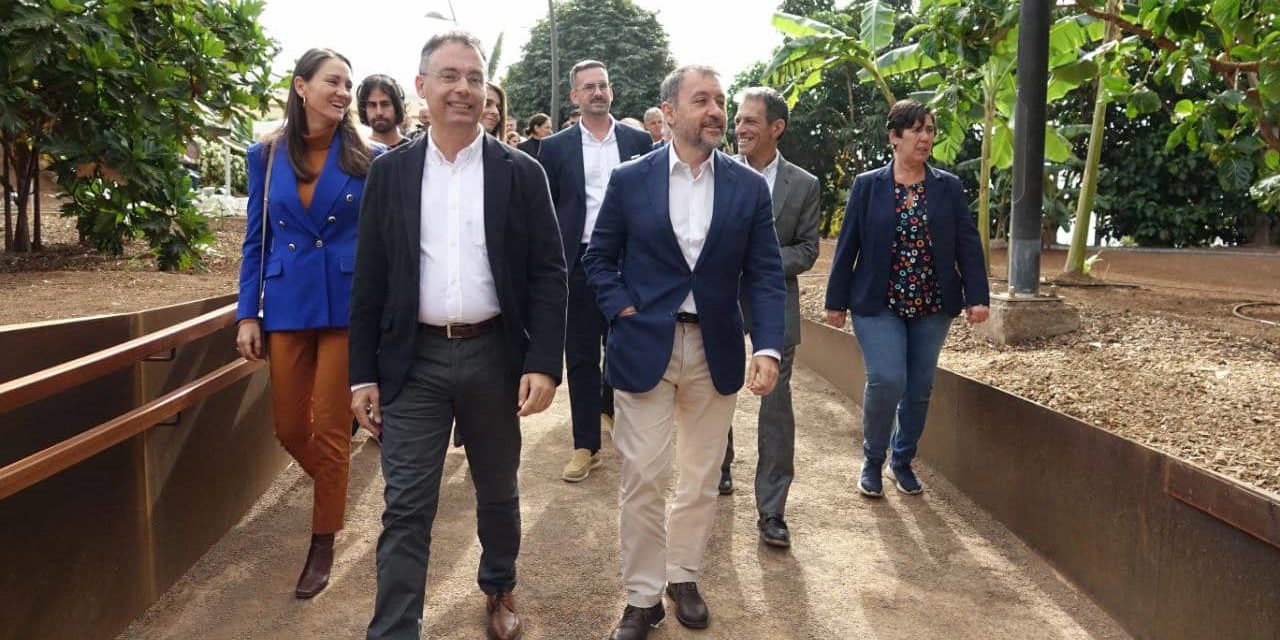 241209 Palmetum 1
