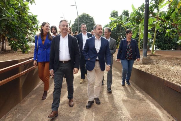 241209 Palmetum 1
