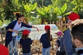 241221 Visitas Palmetum (1)