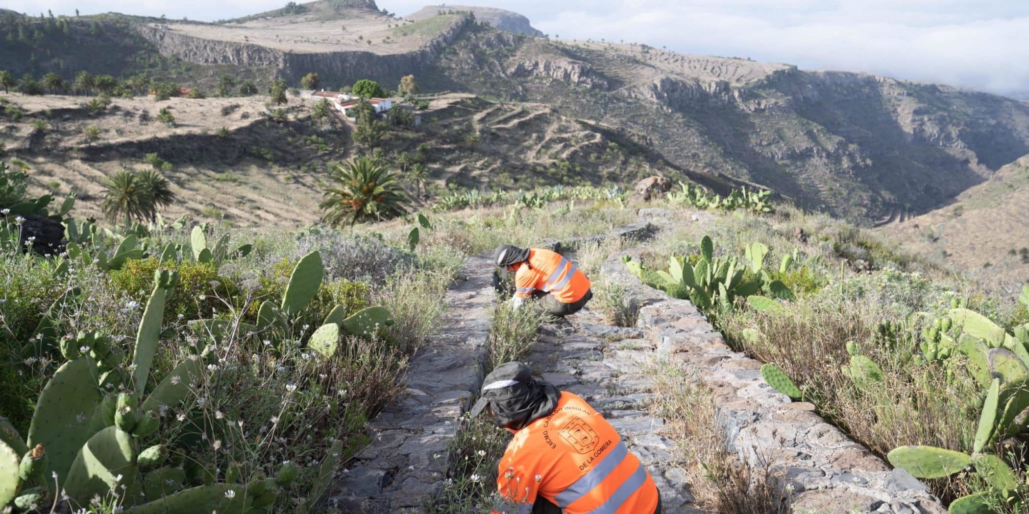 251224-trabajos-de-mejora-paisajistica-y-medioambiental-en-la-gomera (1)